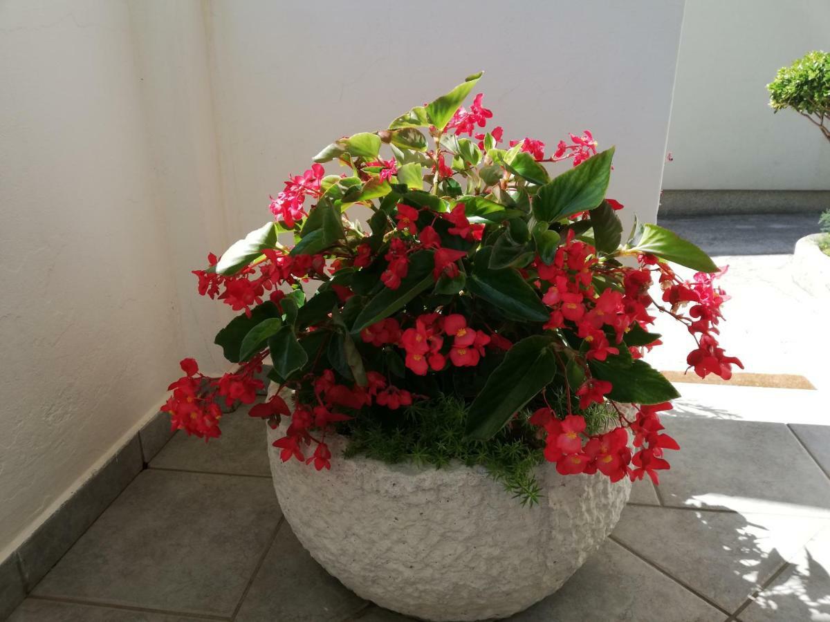 Apartman Katica Banjol Kültér fotó